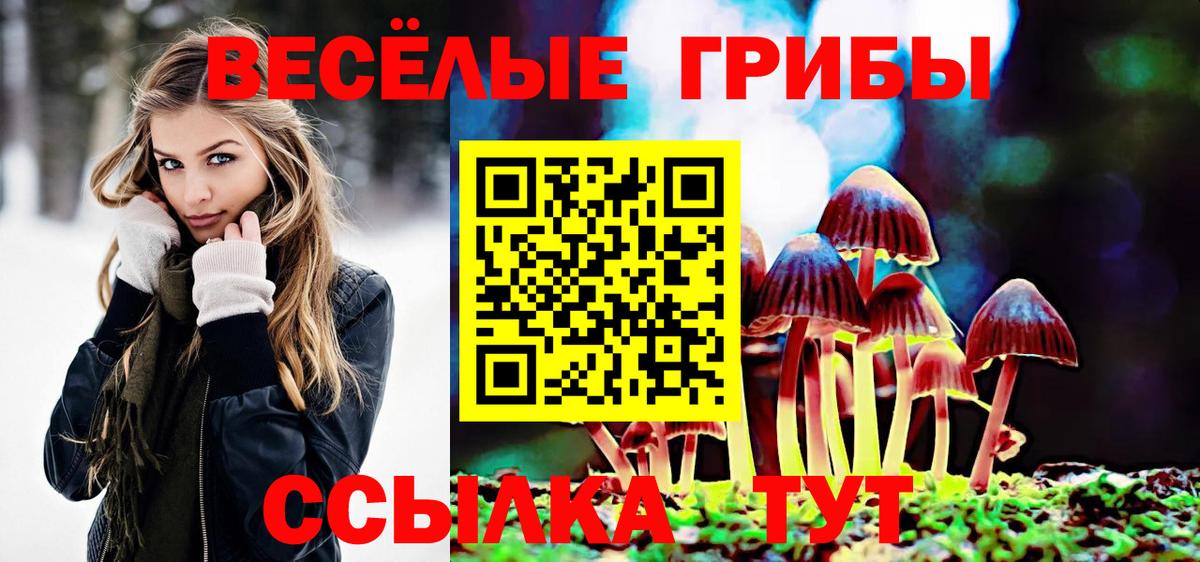 Псилоцибиновые грибы GOLDEN TEACHER Улан-Удэ
