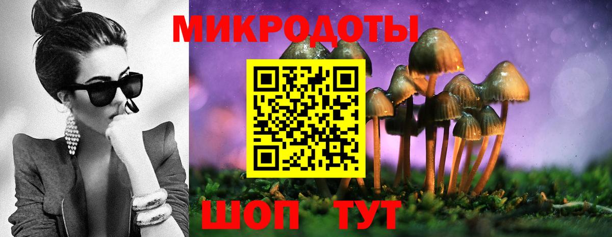 Улан-Удэ  Галлюциногенные грибы Psilocybe  Вход с VPN 